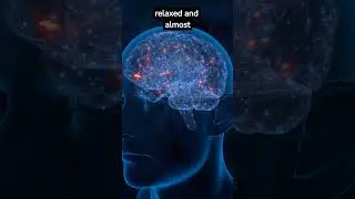 The sleeping brain what happens when you dream