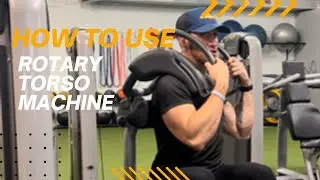 Rotary Torso Machine