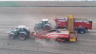 La Ferme de l'Artois, producteur et conditionneur d'oignons en Hauts-de-France