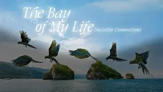 Bay of My Life - Official Trailer, documentary