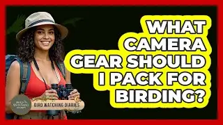 What Camera Gear Should I Pack for Birding?
