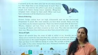 Chapter 4 Extraordinary Animal Senses | EVS Class 5