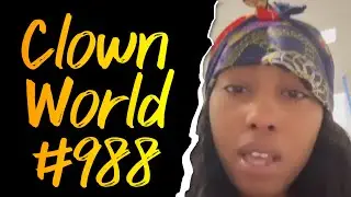 Chaos Ensues When Fatiguers Are on the Loose | Doggos | Clown World #988