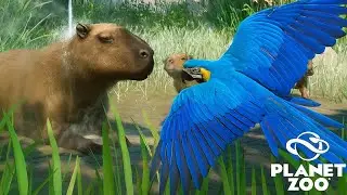 Isso &eacute; BRASIL - Libertando animais da Fauna Brasileira - Planet Zoo  - 16