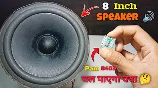 Kya Pam 8403 से 8 Inch Speaker चल पाएगा 🤔 || Shocking results 😳
