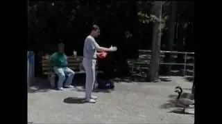 july 5th 2000 ducks harrasing park guest for french fries