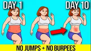 How to Lose Weight at Home for Beginners (No Jumping Workout) 