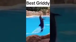 Best Griddy😂