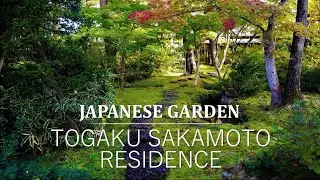 Walking along the moss and stones path in a Japanese Garden | Togaku Sakamoto Residence