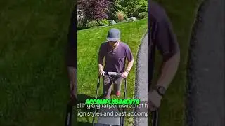 Transform Yards Artistically! Landscaping Secrets REVEALED on A Shout Out.Net Inc.