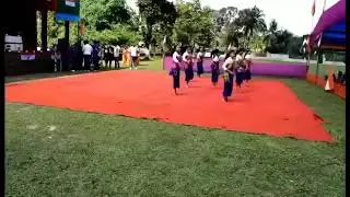 Beautiful Rabha Girls Dance Performance.