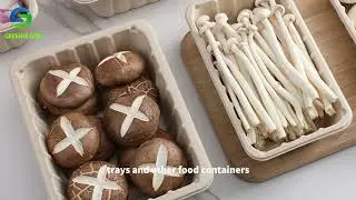 sugarcane tableware factory from china.