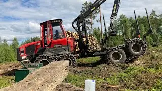 Komatsu 855 loading spruce logs I Timelapse