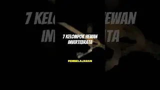 Hewan Invertebrata #hewan #ipas #invertebrata #belajar #sekolah #madrasah