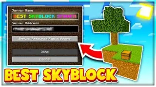 TOP 3 BEST SKYBLOCK SERVERS! *2023 EDITION* (NEW) | 1.8- 1.20+ Best SkyBlock Servers! | Java Bedrock