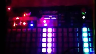 First jam on my Synthstrom deluge