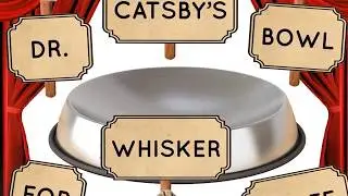 Dr. Catsby's Food Bowl For Whisker Relief Thought