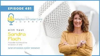 The Adoption & Foster Care Journey Podcast - Ep. 481 - Foster Care w/ Dr. John DeGarmo