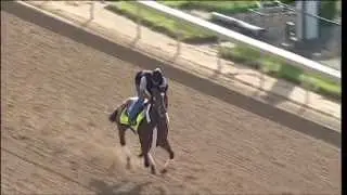 Goldencents gallops at Churchill Downs 5.2.13