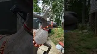 Home Depot 2024 Christmas 8.5-foot Towering Reindeer Review!