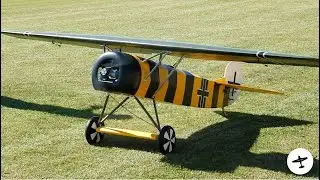 BEAUTIFUL RC XXL FOKKER D.VIII SCALE FLIGHT