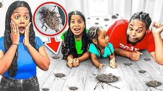 We FOUND BUGS And RATS In LAIYA room On BLACK FRIDAY 🪲😱| LAIYAFACE