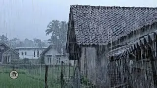 Consistent Rain on a Rural House Roof | Peaceful Village Rain Sounds