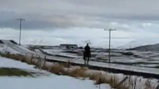 Hv&ouml;nn fr&aacute; brj&aacute;nsl&aelig;k.MOV