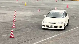 HSR 弟子ビックお年玉チャレンジ 外 20260112