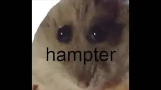 Hampter (film trailer) (film out now)