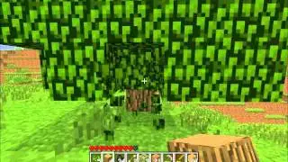 MINECRAFT! Lets Play Ep:3