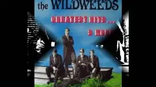Wildweeds - Where Is Our Love (unreleased '69)