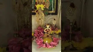 🎊 தைப்பூச திருநாளின் முருகன் சிறப்பு🔥#positivevibes #thaipoosam2026 #minivlog  #omsaravanabhava