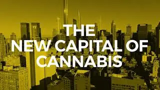 Business of Cannabis: New York 2022