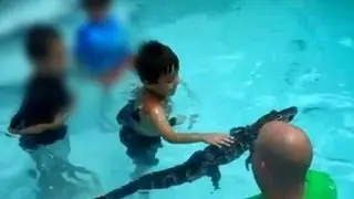 Alligator Birthday Pool Parties: Kids' Birthday Party Ideas Reach New Depths in Florida