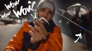 PESCAMOS por la NOCHE y probamos las NUEVAS ca&ntilde;as!