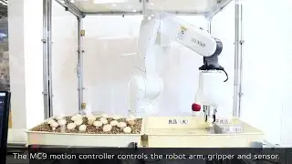 【FOOMA JAPAN 2022】Use of 3D Camera and Gripper for Picking Irregularly Shaped Items