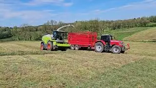 Joe Brady Lifting Grass 2024 In Cavan With a Claas Jaguar 980
