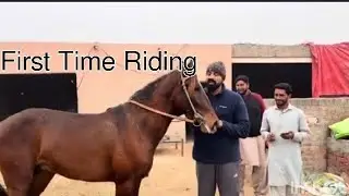 First Time Horse Riding 😍 Waqar Bhinder Vlog ❤️