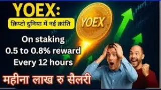 Yoex Business Plan Daily 1% on YOEX Token Staking