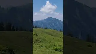 Siri Paya #siripaye #naranvlog #shortsfeed #shortvideo