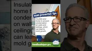 Insulation, Black mold, tips for home owners #blackmold #moldcleanup #shortfeed #basementmakeover