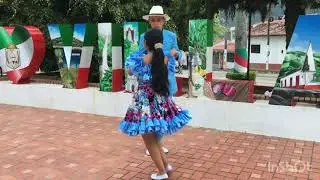 Danza el pájaro bochinchero, (Joropo)