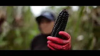 Black Whiskey - Single Malt Andean Corn Whiskey