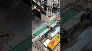 Seals deflashing machine automatically running