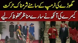 Horse's Embarrassing Action in Front of Trump | The Camera's Eye Captured All the Scenes