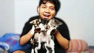 KENALAN YUK SAMA KUCING GW  (Malam Minggu Kopex Part 8)