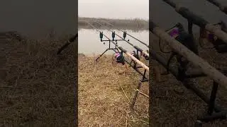 Nash dwarf , Sonik xtraktor e pod Solar P1