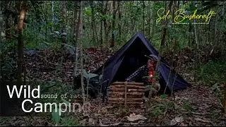 Solo Bushcraft Camping &bull; Survival Shelter &bull; Wood Stove, asmr