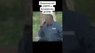 Жириновский о Бондаренко. Радикал и экстремист!